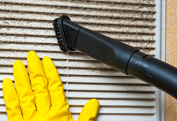 Best Ductwork Cleaning Services  in Papillion, NE