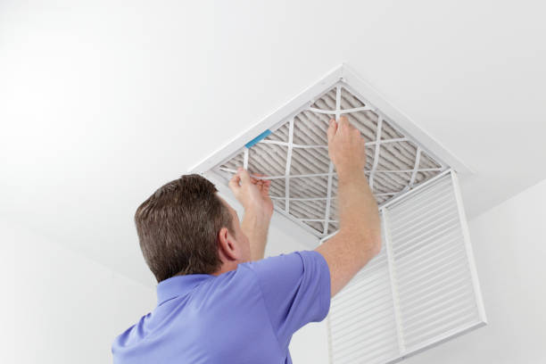 Best HVAC Maintenance and Cleaning  in Papillion, NE